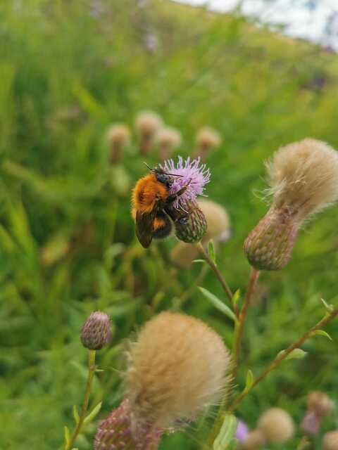 u138413760 header picture leakfans.com