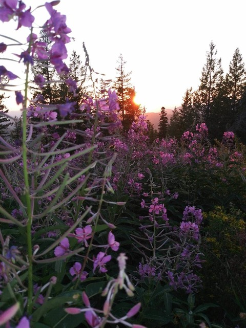 u140629425 header picture leakfans.com