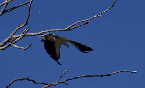 u141590071 header picture leakfans.com