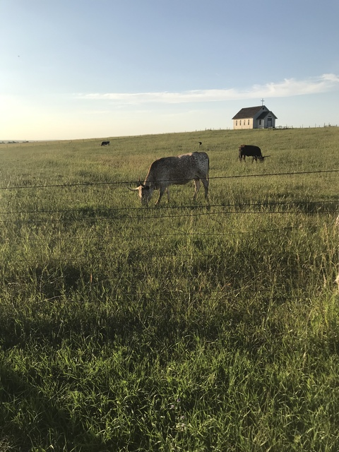 u145145600 header picture leakfans.com