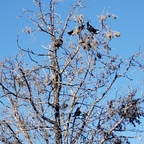 u15277722 profile picture leakfans.com