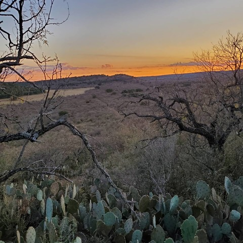 u15444576 header picture leakfans.com