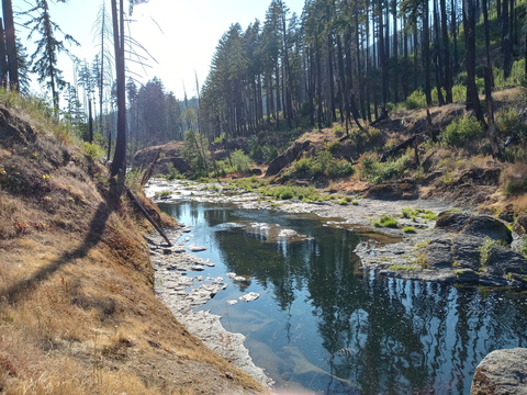 u163384731 header picture leakfans.com