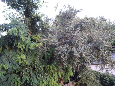 u16542557 header picture leakfans.com