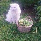 u17049518 profile picture leakfans.com