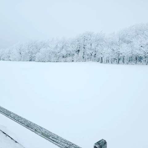 u17655522 header picture leakfans.com