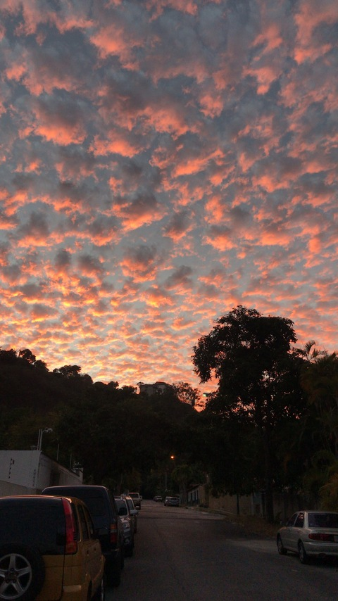 u180399097 header picture leakfans.com