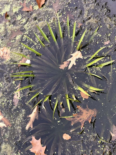 u185516383 header picture leakfans.com