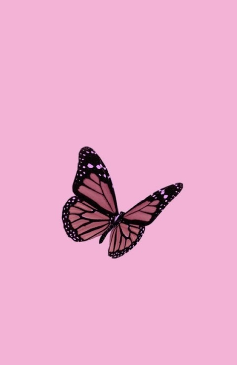 u188103155 header picture leakfans.com