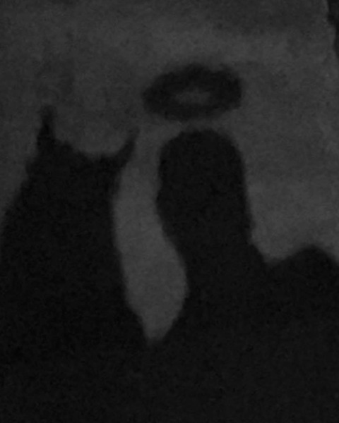 u188481095 header picture leakfans.com