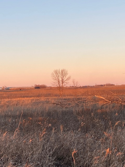 u207229727 header picture leakfans.com