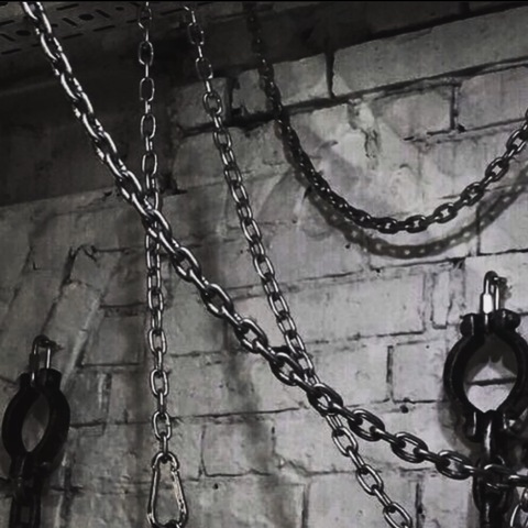 u217336839 header picture leakfans.com