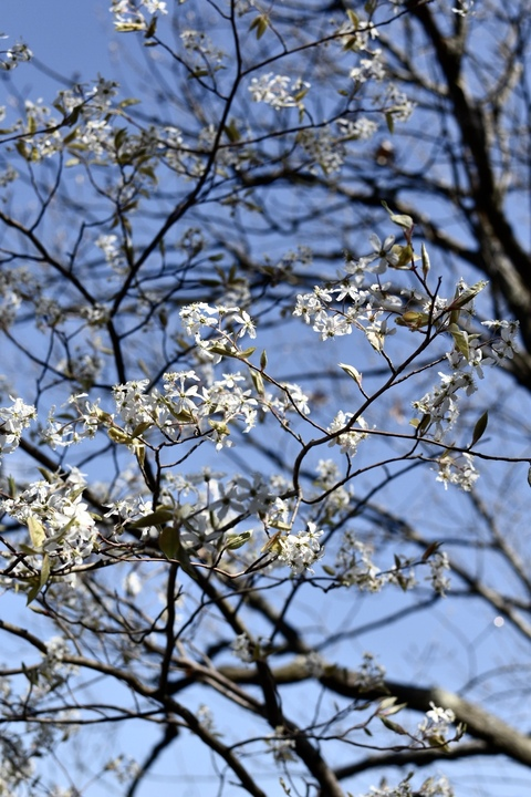 u22437323 header picture leakfans.com