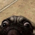 u224945382 profile picture leakfans.com