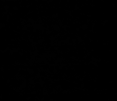 u22596410 header picture leakfans.com