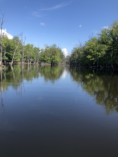 u23149621 header picture leakfans.com