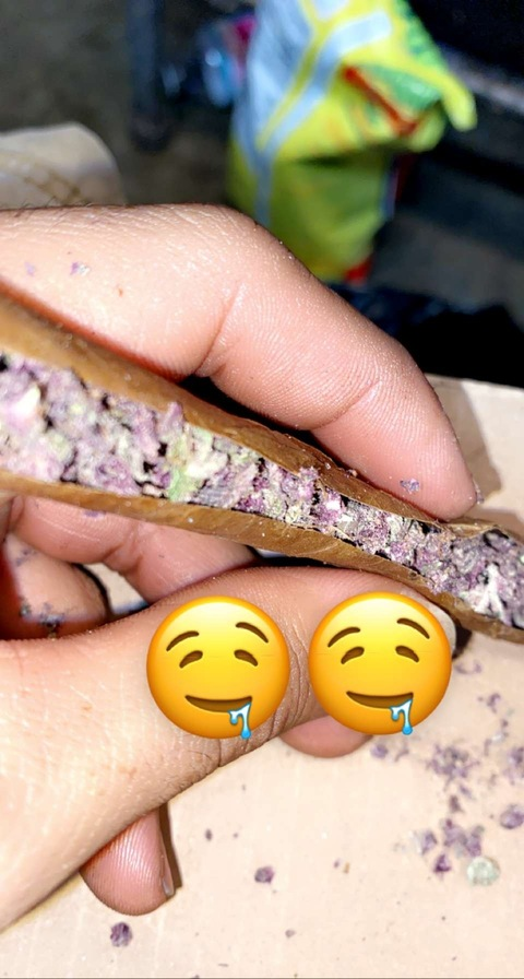 u24189831 header picture leakfans.com