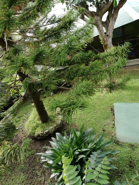 u244820162 header picture leakfans.com