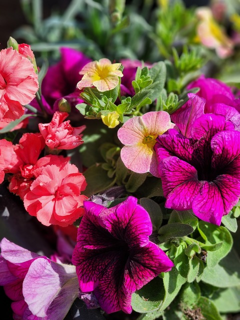 u246633504 header picture leakfans.com