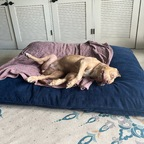 u249321866 profile picture leakfans.com