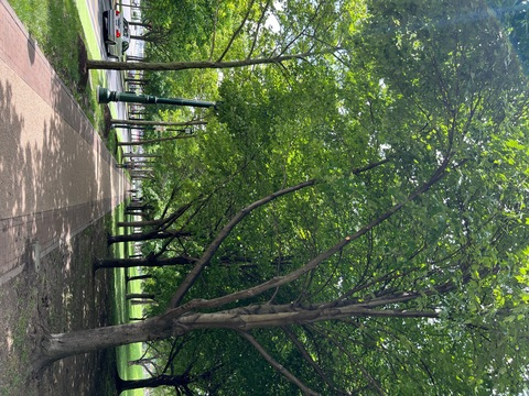 u249321866 header picture leakfans.com