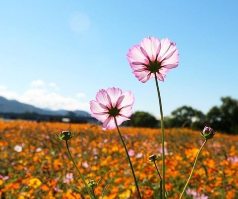 u253213130 header picture leakfans.com