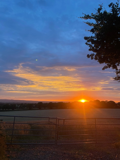 u253501906 header picture leakfans.com