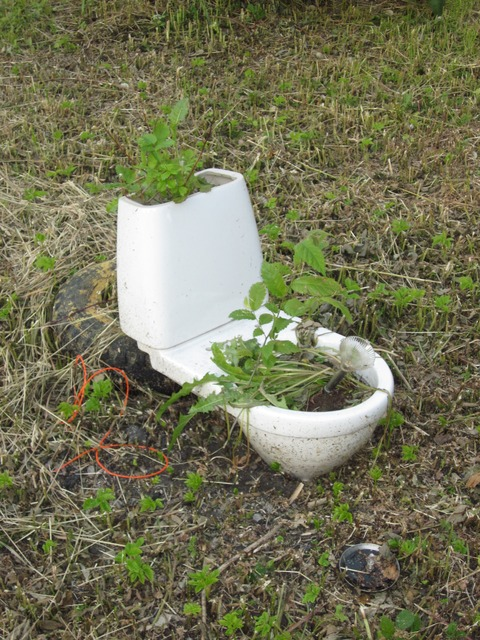 u256382187 header picture leakfans.com