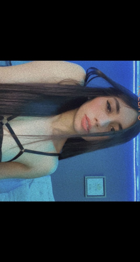 u266181798 header picture leakfans.com