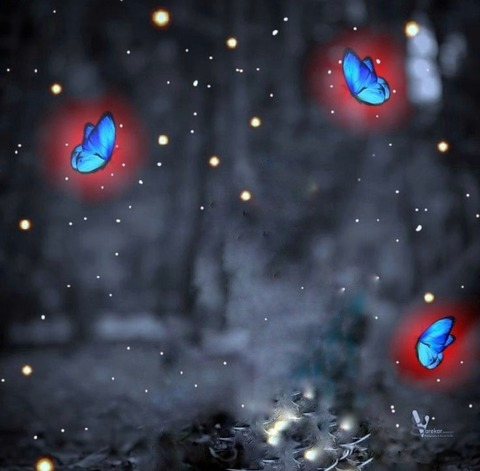 u268616894 header picture leakfans.com