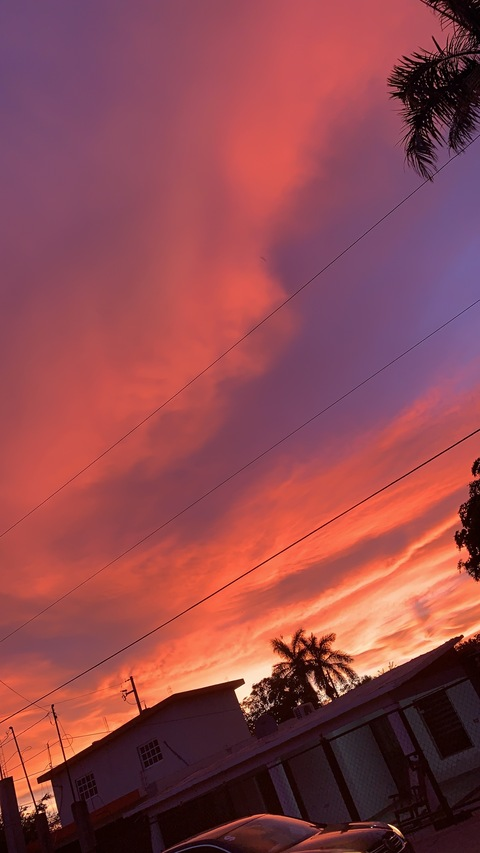 u274152113 header picture leakfans.com