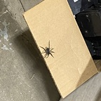 u28181924 profile picture leakfans.com