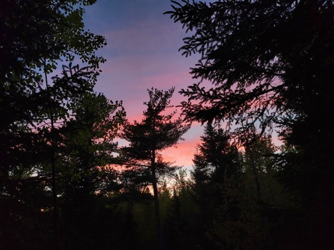 u29381460 header picture leakfans.com