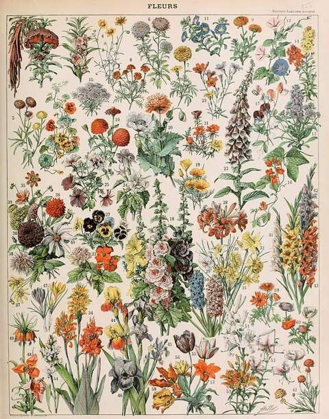 u31315272 header picture leakfans.com