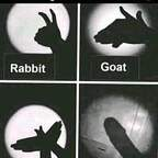 u31839842 profile picture leakfans.com