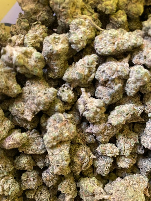 u32077531 header picture leakfans.com