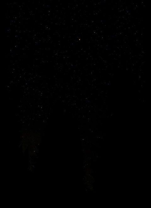 u44632602 header picture leakfans.com