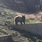 u45813725 profile picture leakfans.com