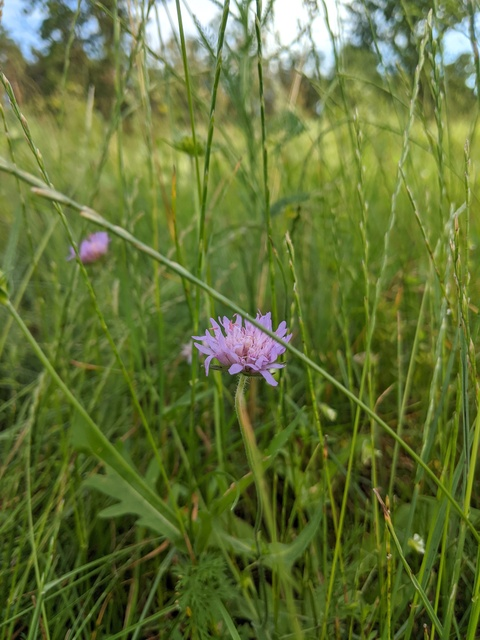 u47604805 header picture leakfans.com