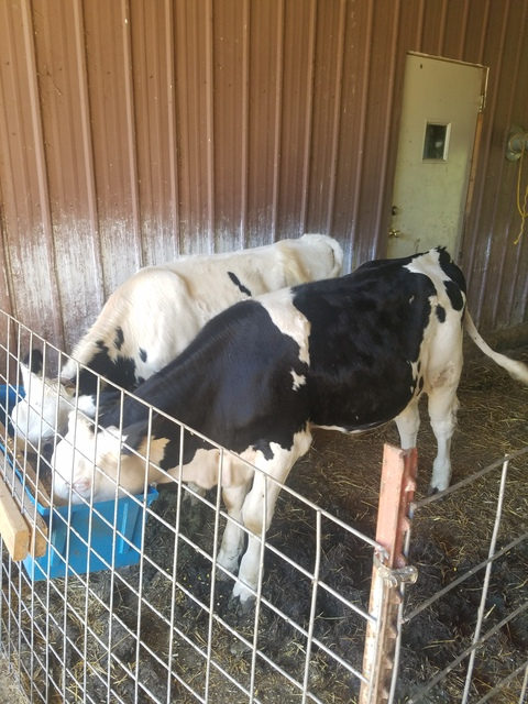 u48867539 header picture leakfans.com