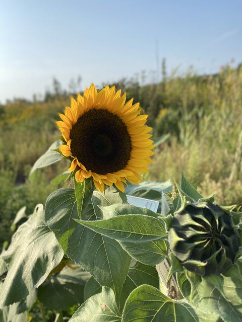 u4967497 header picture leakfans.com