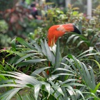 u5160506 profile picture leakfans.com