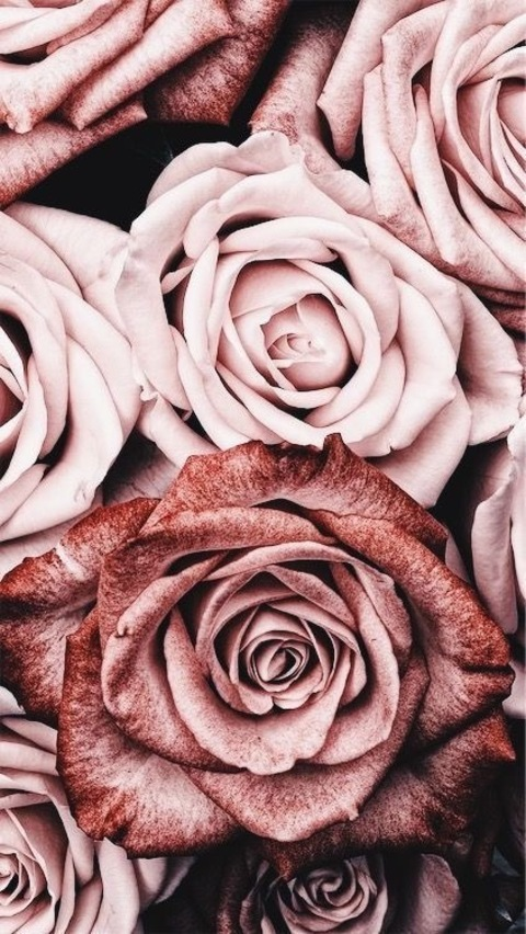 u54115891 header picture leakfans.com