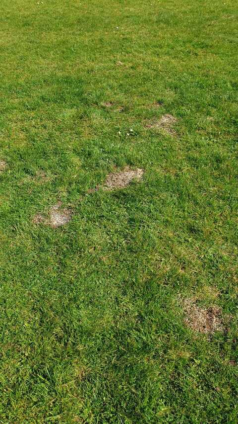 u5422108 header picture leakfans.com