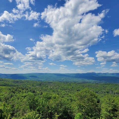 u58970197 header picture leakfans.com