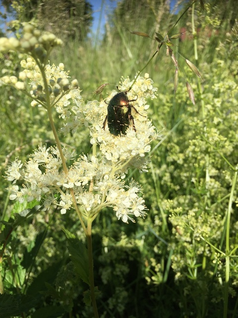 u65833730 header picture leakfans.com