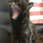 u67181577 profile picture leakfans.com