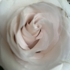 u68062898 profile picture leakfans.com