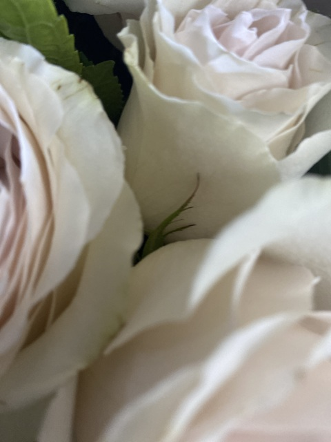 u68062898 header picture leakfans.com