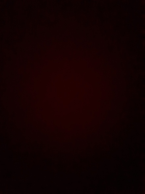 u6949102 header picture leakfans.com